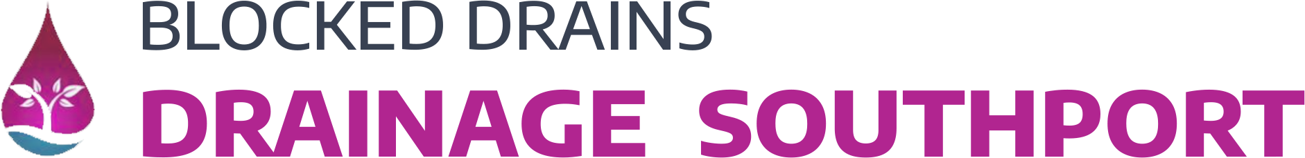 website logo
